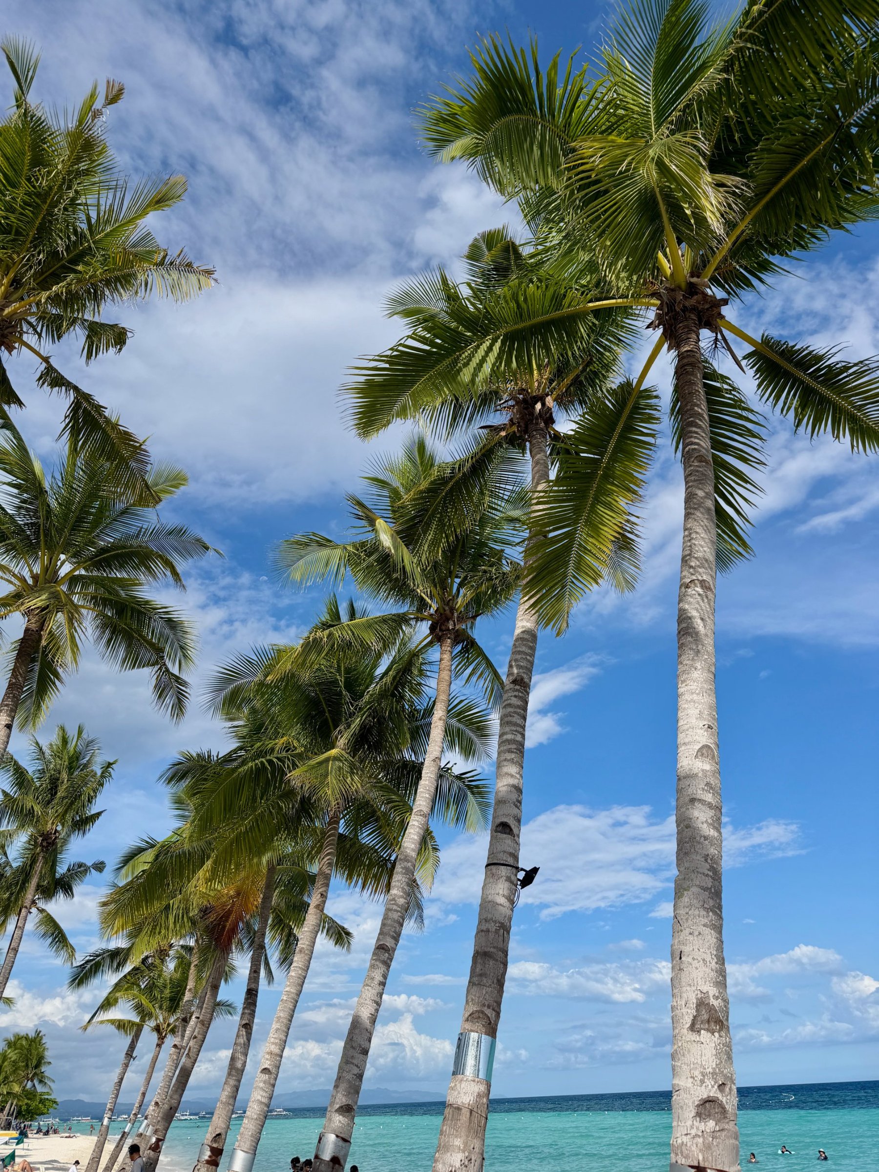 A Tropical Weekend in Bohol: The Easiest Beach Escape from Seoul